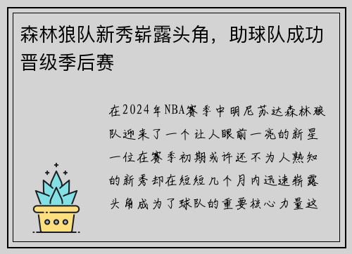 森林狼队新秀崭露头角，助球队成功晋级季后赛