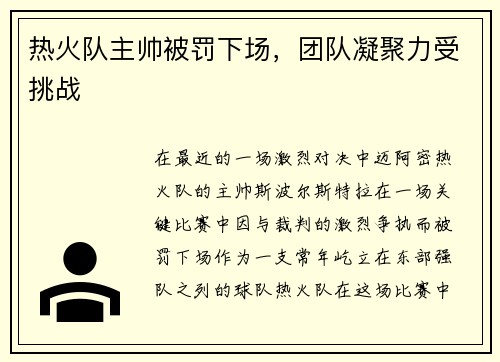 热火队主帅被罚下场，团队凝聚力受挑战