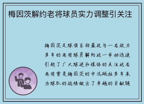 梅因茨解约老将球员实力调整引关注